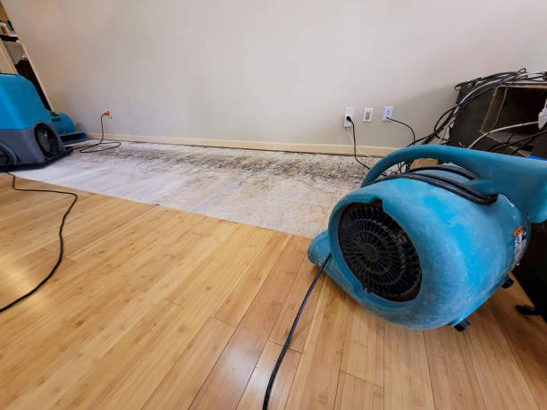 Professional Burst Pipe Water Damage technician working in Port Hadlock, WA